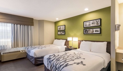 Standard Double Room, 2 Double Beds, Non Smoking