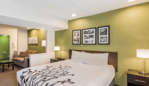 Standard Room, 1 King Bed with Sofa bed, Non Smoking