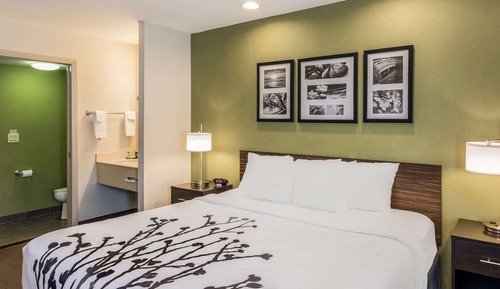 Standard Room, 1 King Bed, Non Smoking