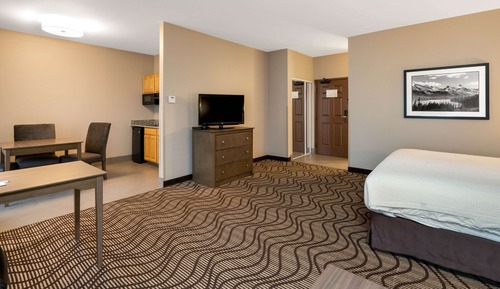 Standard Room, 1 King Bed, Non Smoking, Kitchen (with Sofabed)