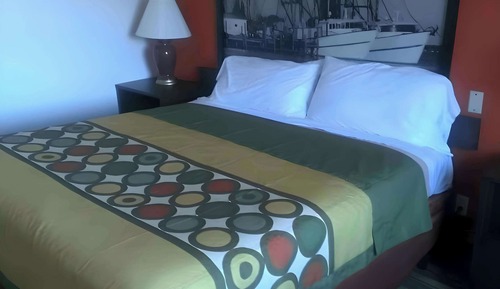 Room, 1 King Bed, Accessible, Non Smoking
