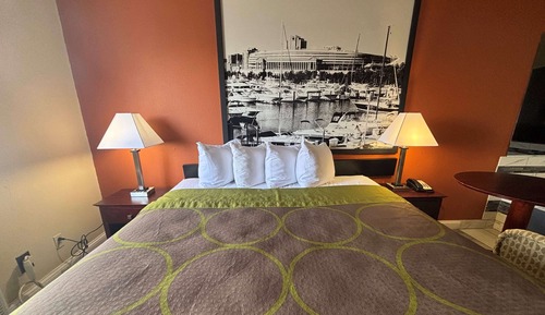 Room, 1 Queen Bed, Refrigerator