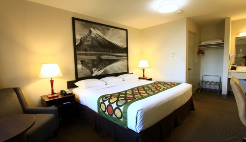 Room, 1 King Bed, Non Smoking
