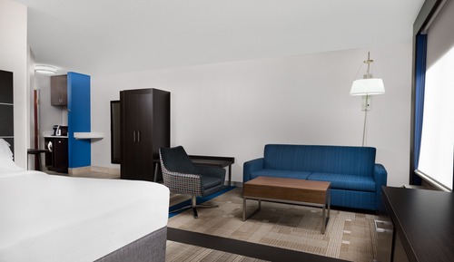 Suite, 1 King Bed with Sofa bed