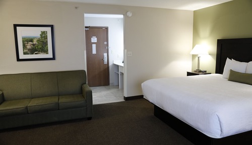 Studio Suite, 1 King Bed, Non Smoking