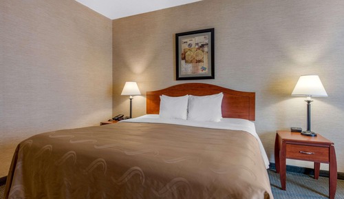 Standard Room, 1 King Bed, Non Smoking
