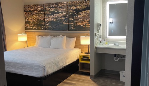 Suite, 1 King Bed with Sofa bed