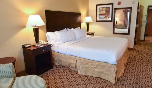 Room, 1 King Bed, Accessible (Comms Accessible. Roll-In Shower)