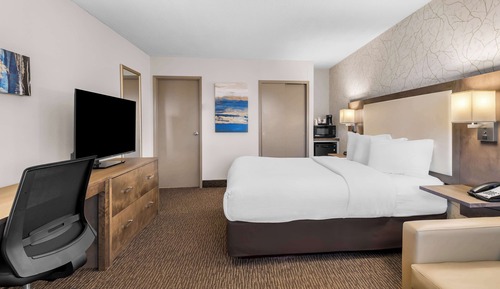 Standard Room, 1 Queen Bed, Non Smoking, Refrigerator & Microwave (with Sofabed)