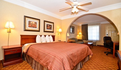 Standard Suite, 1 King Bed, Non Smoking, Hot Tub