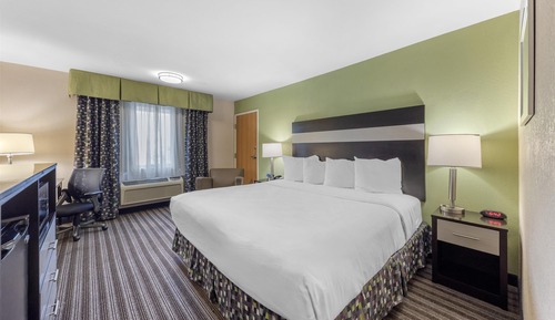 Standard Room, 1 King Bed, Accessible, Refrigerator & Microwave