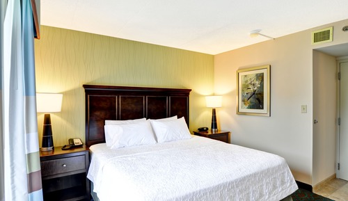 Suite, 1 King Bed, Accessible, Non Smoking