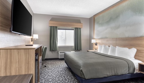 Standard Room, 1 King Bed, Accessible, Refrigerator & Microwave
