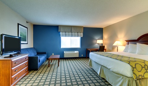 Studio Suite, 1 King Bed, Non Smoking