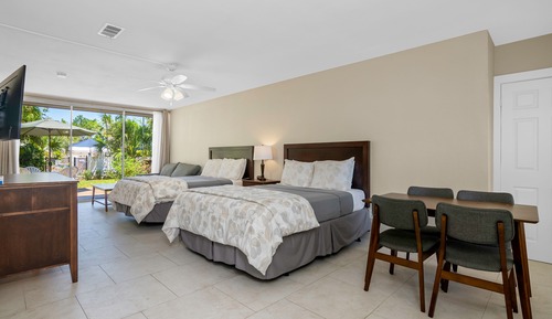 Deluxe Room (Efficiency)
