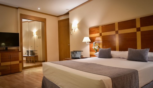 Double Room, 1 King Bed