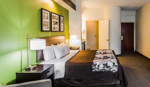 Standard Room, 1 King Bed, Non Smoking