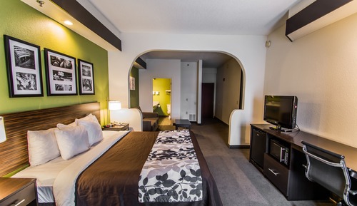 Suite, 1 King Bed with Sofa bed, Accessible, Non Smoking