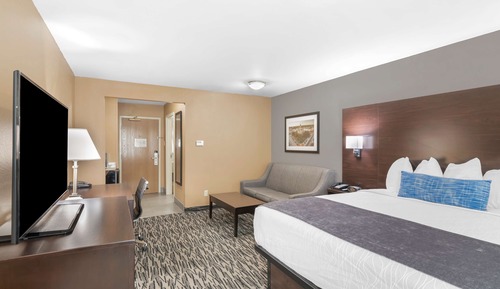 Standard Room, 1 King Bed, Non Smoking, Refrigerator & Microwave (with Single Sofabed)