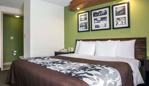 Standard Room, 1 King Bed, Non Smoking