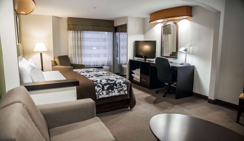 Suite, 1 King Bed with Sofa bed, Accessible, Non Smoking