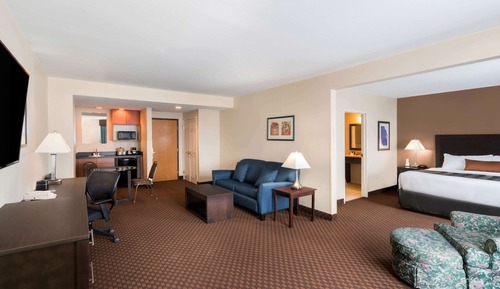 Suite, 1 King Bed, Refrigerator