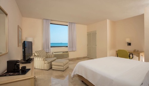Executive Room, 1 King Bed