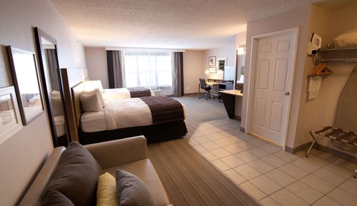 Studio Suite, Multiple Beds, Non Smoking
