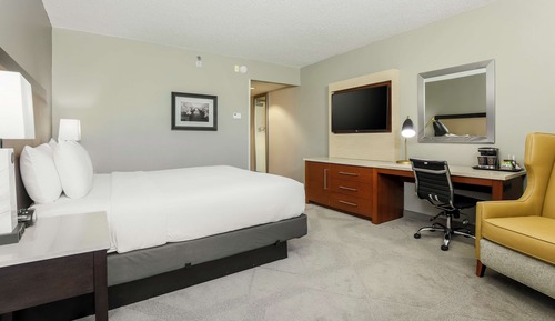 1 King Bed, Accessible, Non Smoking