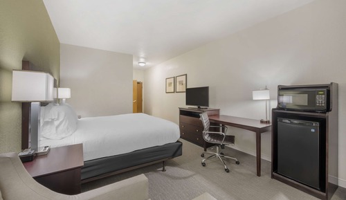 Standard Room, 1 King Bed, Non Smoking, Jetted Tub