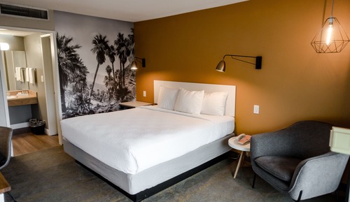 Single Room, 1 King Bed, Accessible