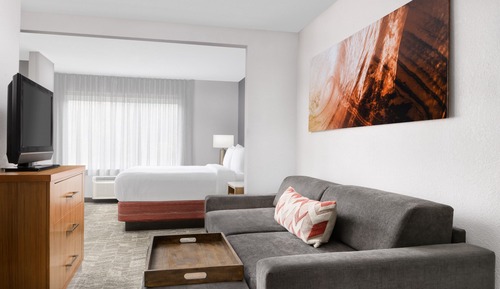 Suite, 1 King Bed with Sofa bed (Mobility/Hearing Access, Transf Shwr)
