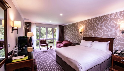 Family Room, 1 Queen Bed