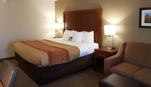 Standard Room, 1 King Bed with Sofa bed, Non Smoking