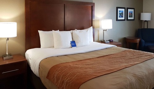 Standard Room, 1 Queen Bed, Walk-In Shower, Non Smoking