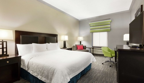 Room, 1 King Bed, Accessible, Non Smoking