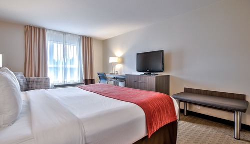 Standard Room, 1 King Bed, Non Smoking