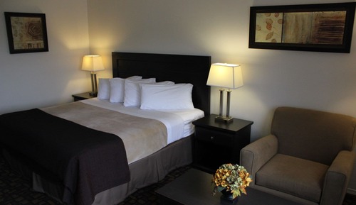 Business Room, 1 King Bed