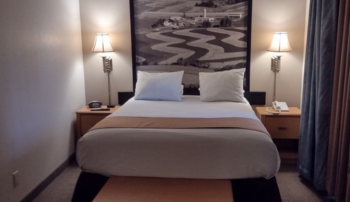 Suite, 1 Queen Bed, Refrigerator