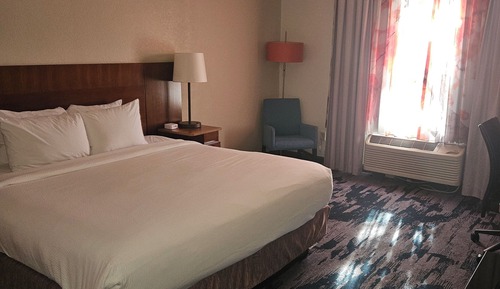 Room, 1 King Bed (Mobility Accessible, Roll-in Shower)
