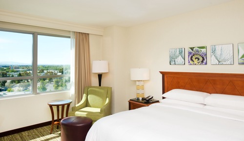 Executive Room, 1 King Bed