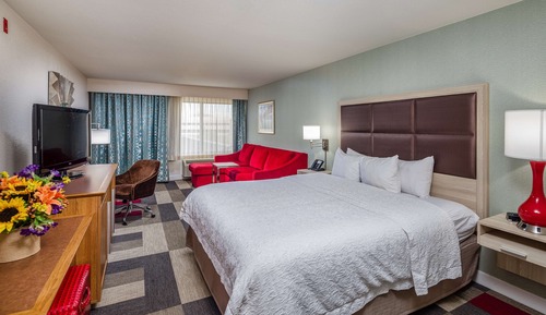 One King Bed Room w/Robes (NonSmoking)