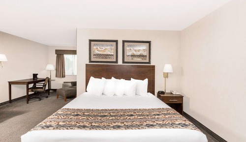 Studio Suite, 1 King Bed, Smoking