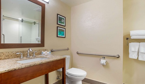 Suite, 1 King Bed with Sofa bed, Accessible, Non Smoking