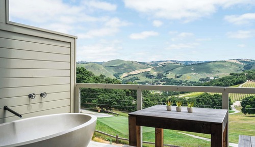 Suite (Vineyard)