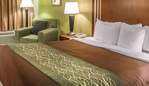 Room, 1 King Bed, Non Smoking