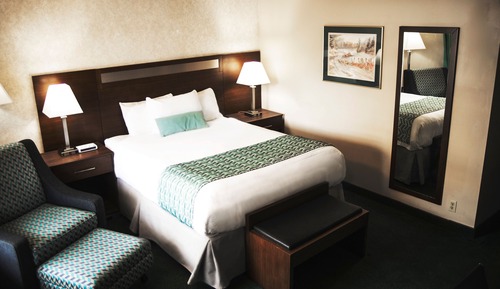 Efficiency, Deluxe Room, 1 Queen Bed, Non Smoking