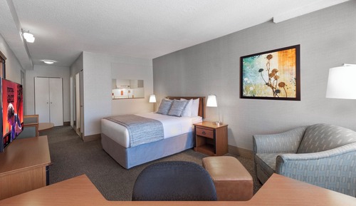Studio Suite, 1 Queen Bed