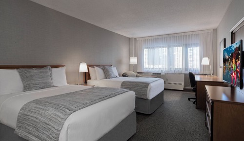 Studio Suite, 2 Double Beds