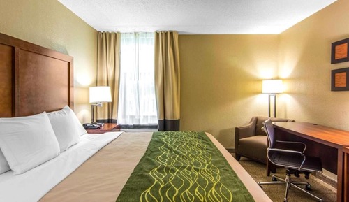 Standard Single Room